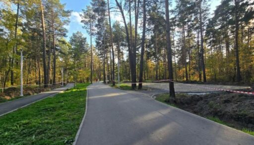 Зимой в Тюмени откроют парк "Комарово"