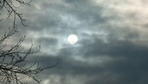 Овнов ждут выгодные предложения по работе, Раков – полезные знакомства