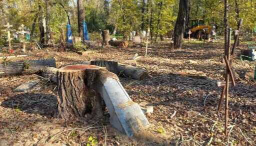На кладбище в центре Тюмени вырубят 160 аварийных деревьев