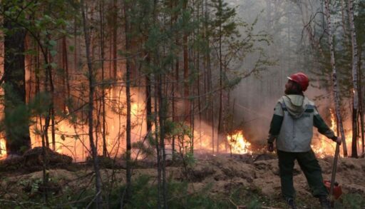 Александр Моор: пожароопасный период в Тюменской области в этом году прошёл спокойно