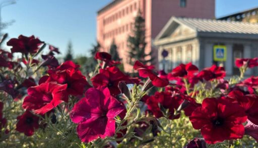 В четверг в Тюмени будет тепло и сухо