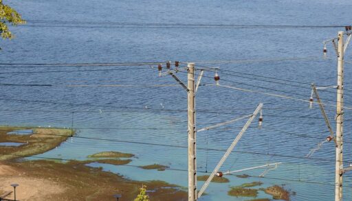 Тюменский бройлер может заплатить более 88 млн рублей за вред экологии в селе Каскара