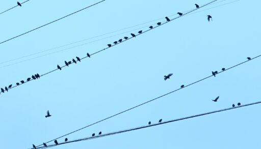 В среду в Тюмени потеплеет до +5 градусов