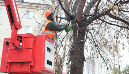В Тюмени идет осенняя обрезка деревьев
