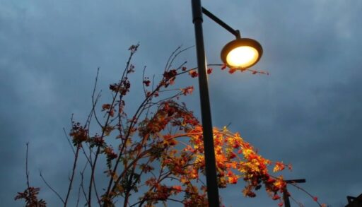 Жители новых ЖК на тюменской Лесобазе в зиму остались без уличного освещения