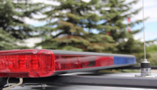 На тюменской трассе водитель "Лады" сбил лошадь