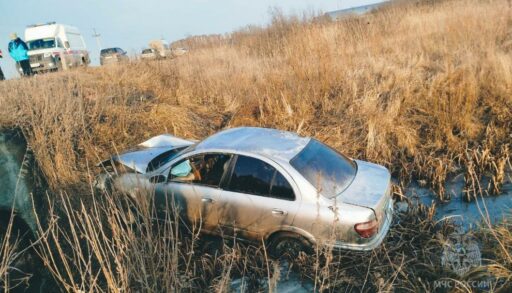 В тюменском селе съехал в кювет и загорелся автомобиль