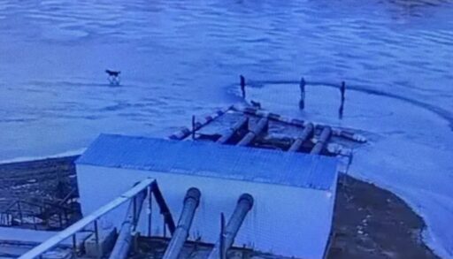 В Тюмени на реке по тонкому льду гуляли трое детей