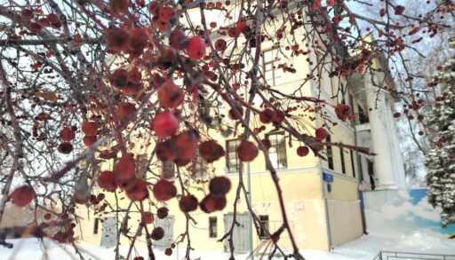 В последние выходные дни в Тюмени будет тепло и снежно