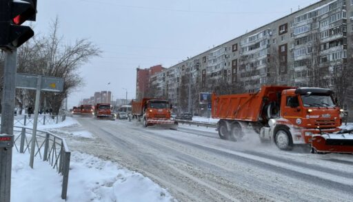 В Тюмени выпала месячная норма снега
