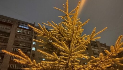 Во вторник в Тюмени немного похолодает