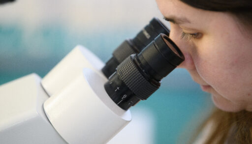 За год в Тюменской области исследовано почти 600 проб продуктов