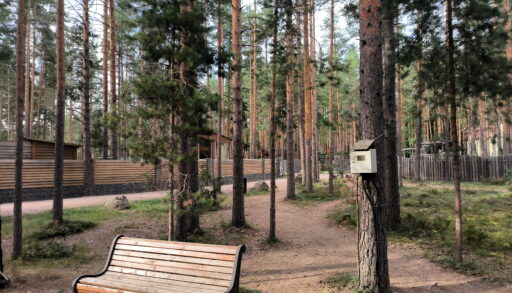 Более 700 тысяч туристов посетили Тюменский район за год