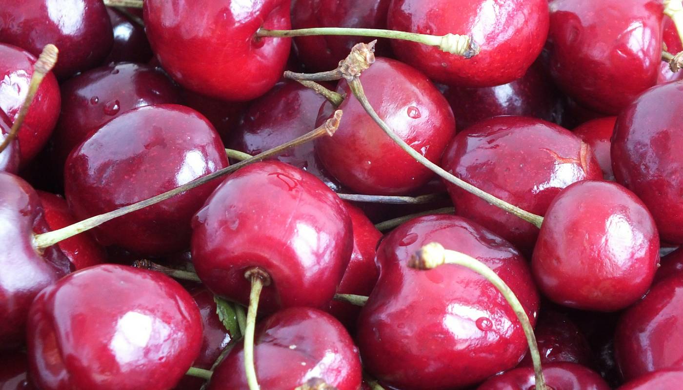 За год в Тюменской области собрали 14,6 тонн ягод