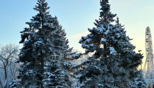 Из-за морозов в Тюмени закрыли аттракционы