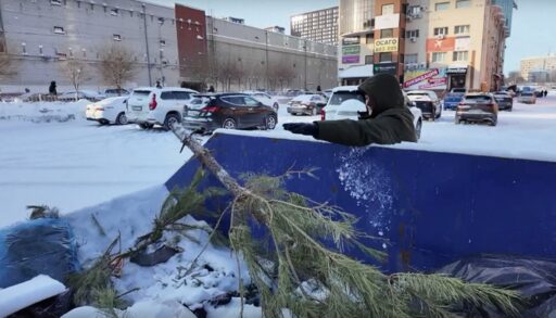 Тюменцам напомнили, куда можно сдать новогоднюю ёлку