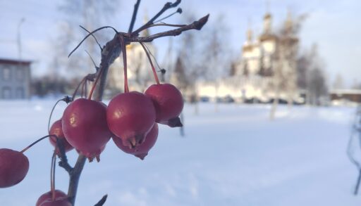 На Рождество в Тюмени похолодает до -15 градусов