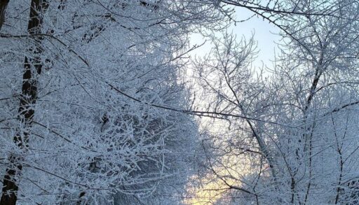 В Тюмени будет очень холодно на Старый Новый год