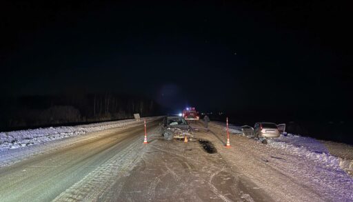 В Тюменской области за один день установлен рекорд по пострадавшим в ДТП