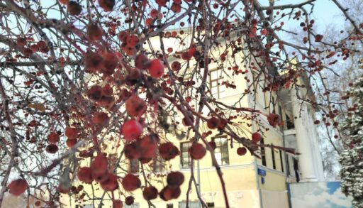 В четверг в Тюмени потепление до -7