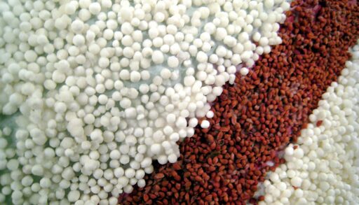 Россия рекордно увеличила импорт тапиоки