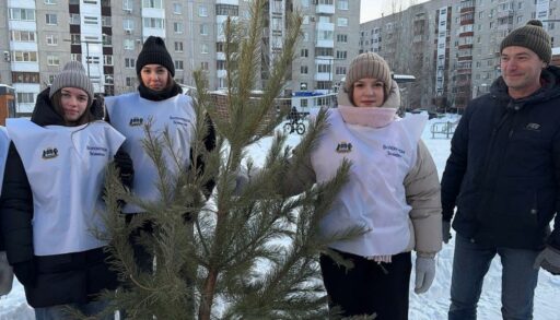 Новогодние ёлки передадут в Тюменский зоопарк