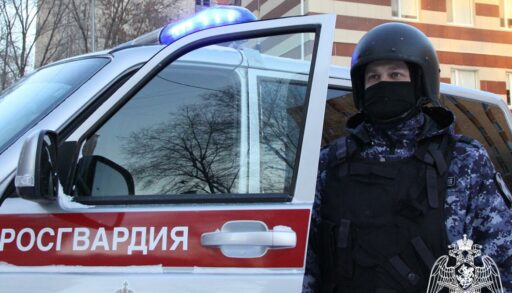 В Тюмени росгвардейцы оперативно поймали автоугонщика