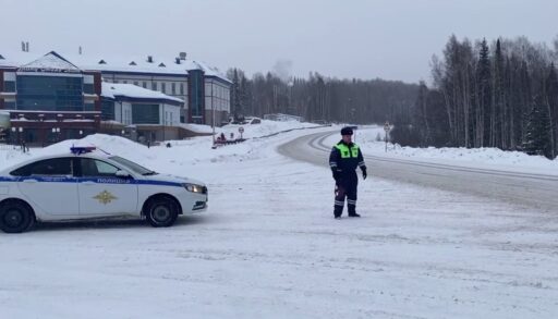 На тюменской трассе в мощный снегопад наряды ГИБДД несут службу