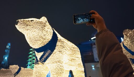 В Тюмени светящиеся медведи СУЭНКО на этой неделе вернутся в свою "берлогу"