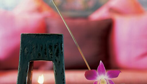 Эфирные масла - природная альтернатива антибиотикам