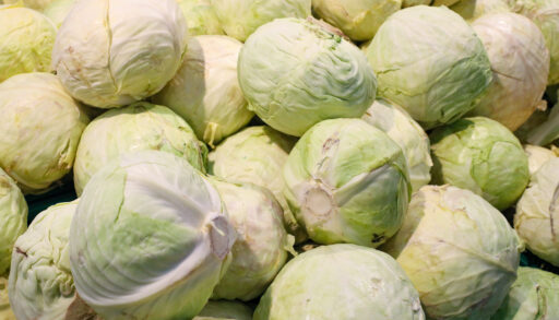 За год в Тюменской области вырастили почти 27 тонн капусты