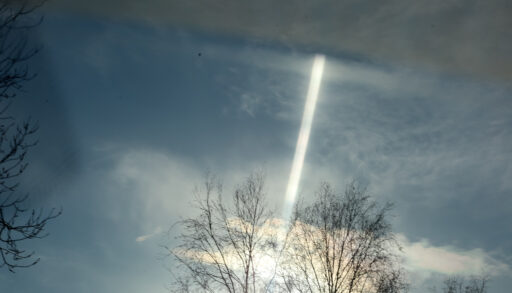 Трамп поручил рассекретить документы о НЛО и внеземной жизни