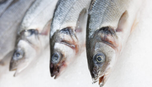 За год в Тюменской области из оборота изъято более 180 кг небезопасной рыбы