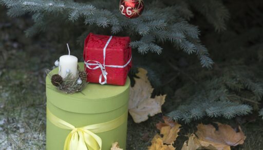 Уязвимые категории китайских товаров: кто пострадал из‑за Нового года