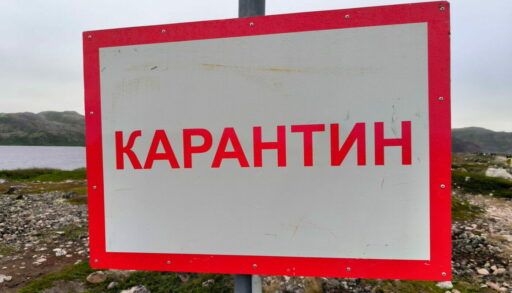 В еще одном тюменском селе введен карантин по бешенству