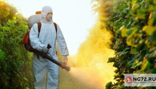 За год от клещей в Тюменской области было обработано более 9 тысяч га