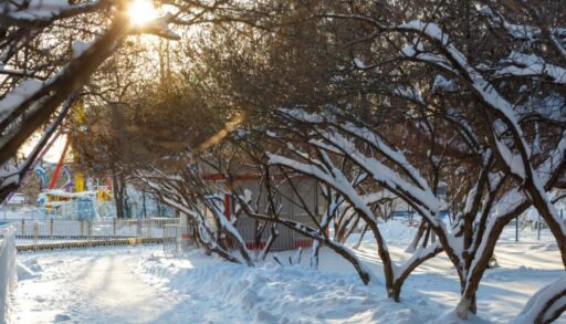 В Тюменскую область ненадолго вернутся морозы