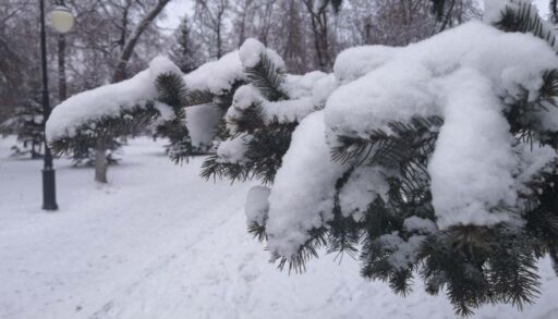 В пятницу в Тюмени похолодает до -20 градусов