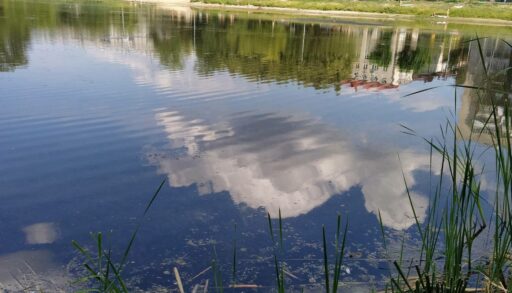 За год в Тюменской области выявили 11 случаев ограничения прохода к водоемам