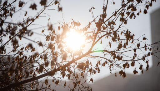 ранняя весна