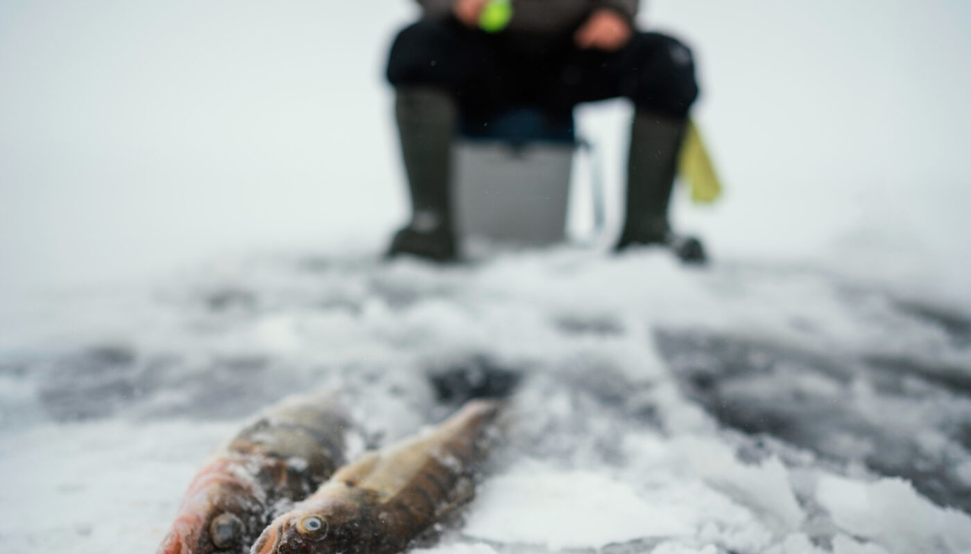 рыбалка зимняя