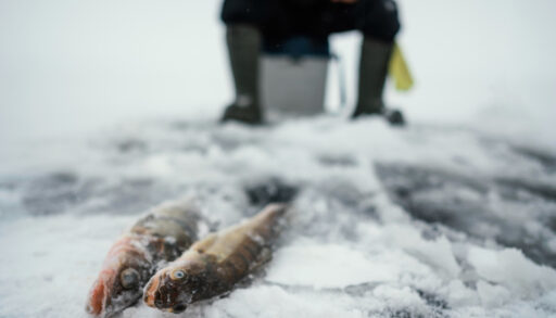 рыбалка зимняя