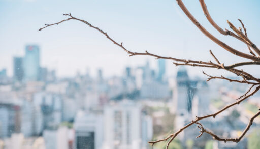 весна город тюмень