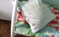 Тюменцы в ужасе от больницы «Водников»: пациенты жалуются на состояние здания
