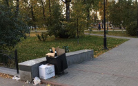 Тюменцы жалуются на молодоженов: они не убирают за собой мусор в Александровском саду