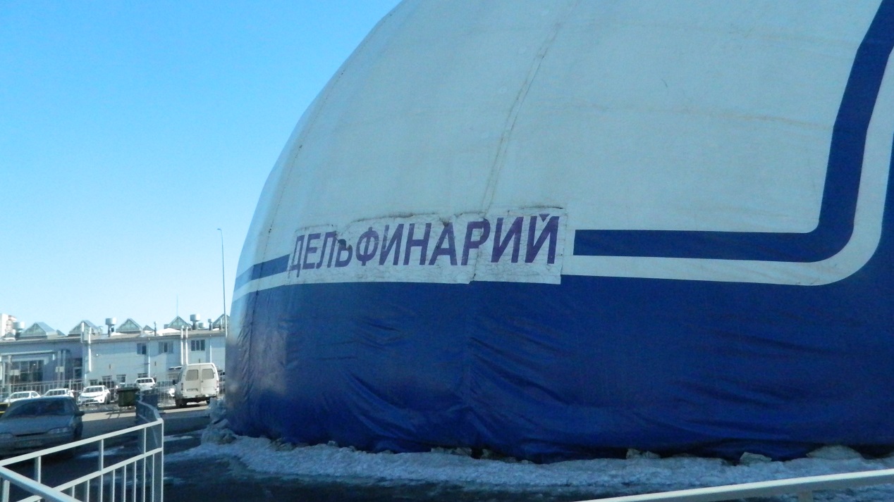 Тюменский передвижной дельфинарий ТЦ Орион на Федюнинсого