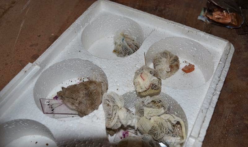 В центре Тобольска нашли заброшенную лабораторию с заспиртованными младенцами - 30 апреля 2015