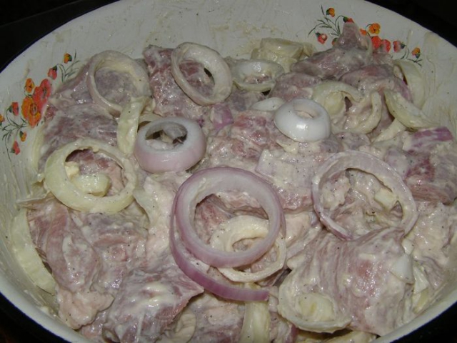 Маринованный шашлык из свинины в майонезе. Рецепты маринада для шашлыка