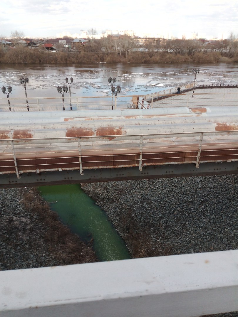 «Тархун течет»: в Тюмени приток Туры окрасился в зеленый цвет