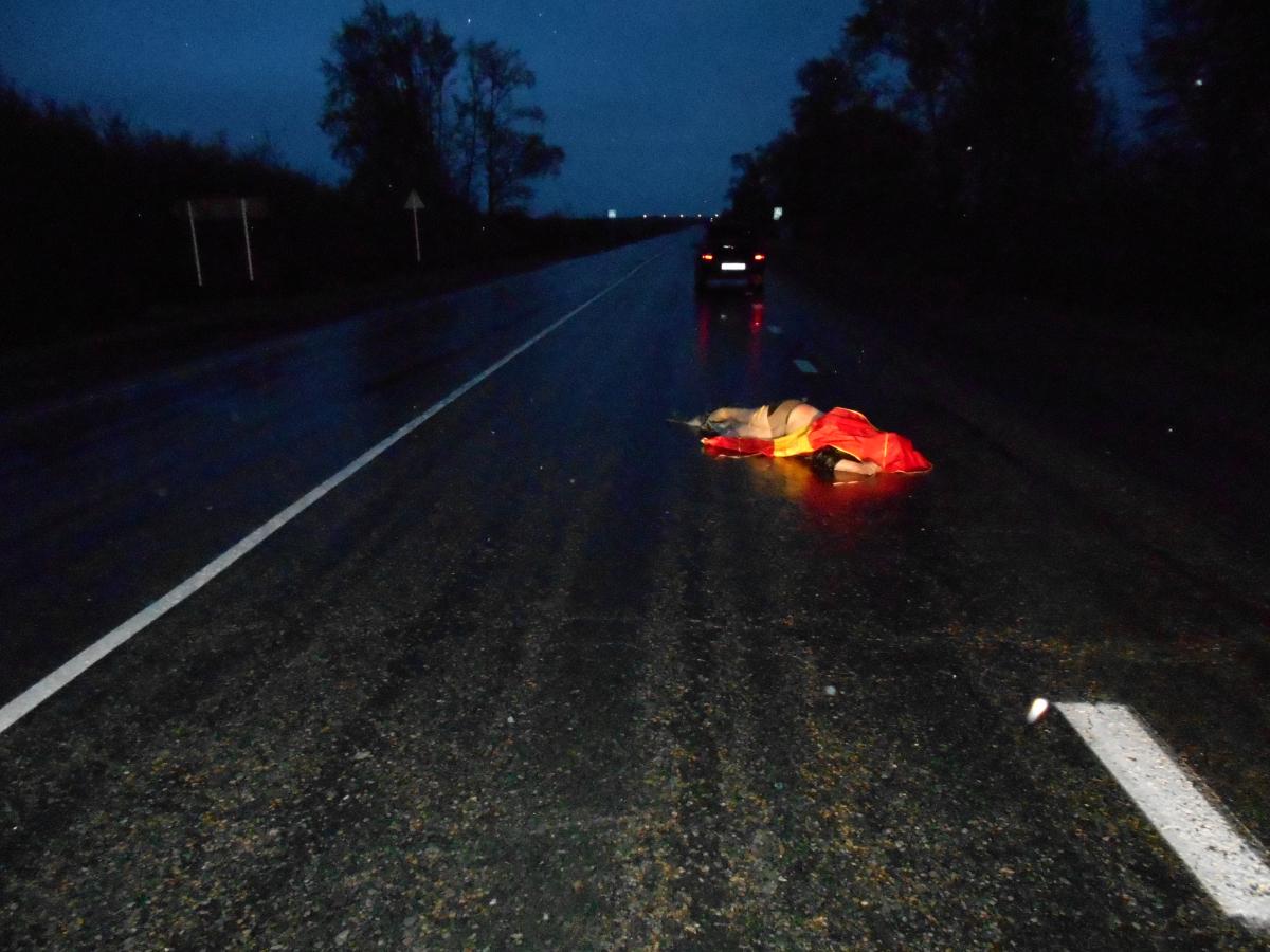 На трассе Шадринск - Ялуторовск 9 мая 2015 года сбили пешехода